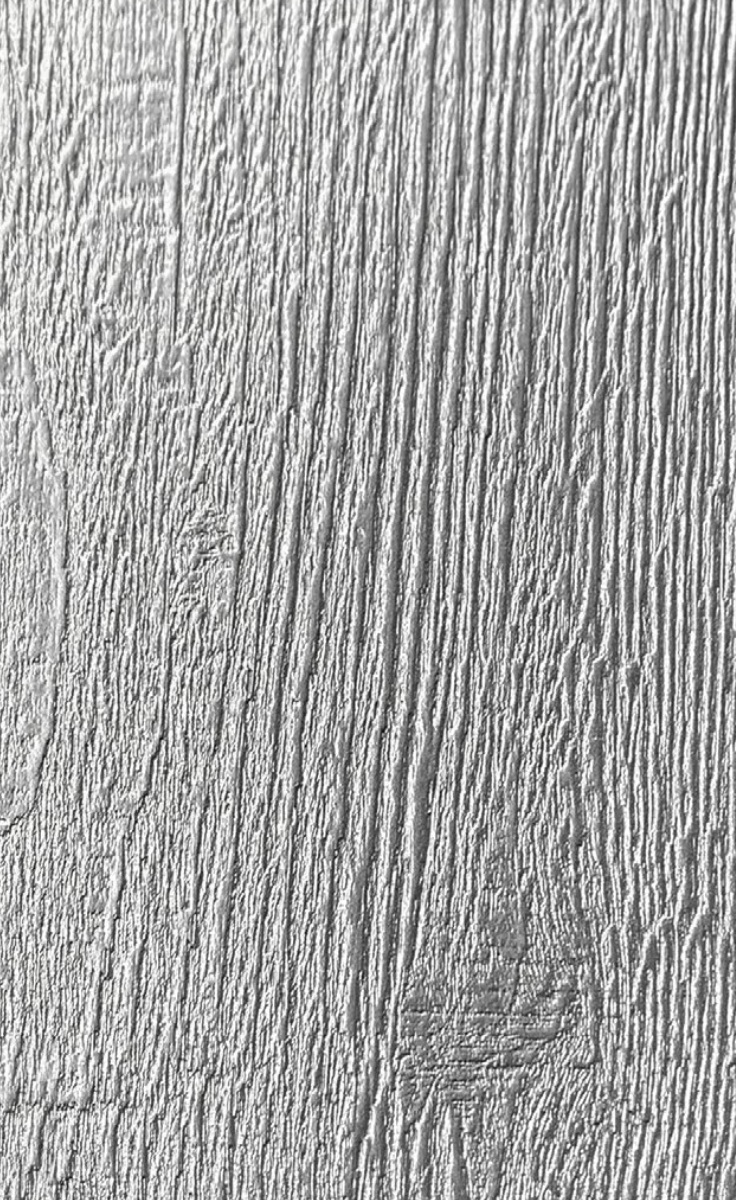 Grainy Silver | LPMG4014