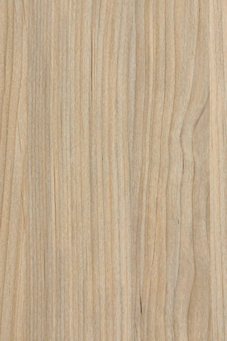 Andes Maple | LPSW1148