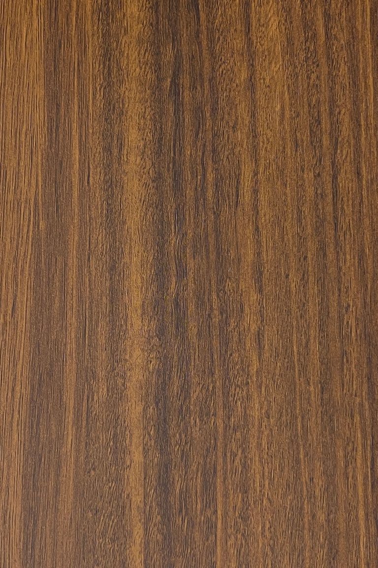 Shadow Maple | LPSW1194